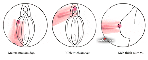 Máy rung điểm G nhũ hoa Svakom Cookie Candy chính hãng kích thích