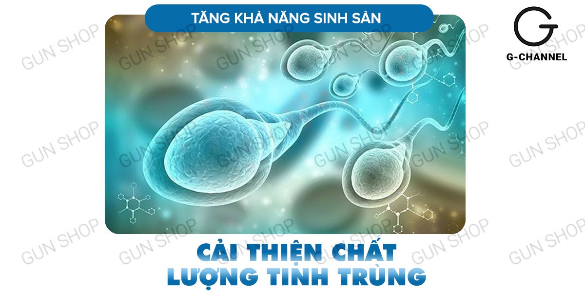 Maxman chính hãng tăng cường sinh lý kéo dài thời gian chống xuất tinh sớm hộp 10 viên