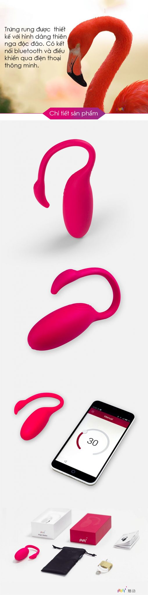 Trứng rung không dây Magic Motion Đức Bluetooth cao cấp kích thích mạnh