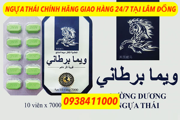 NGỰA thái bảo lộc đà lạt lâm đồng