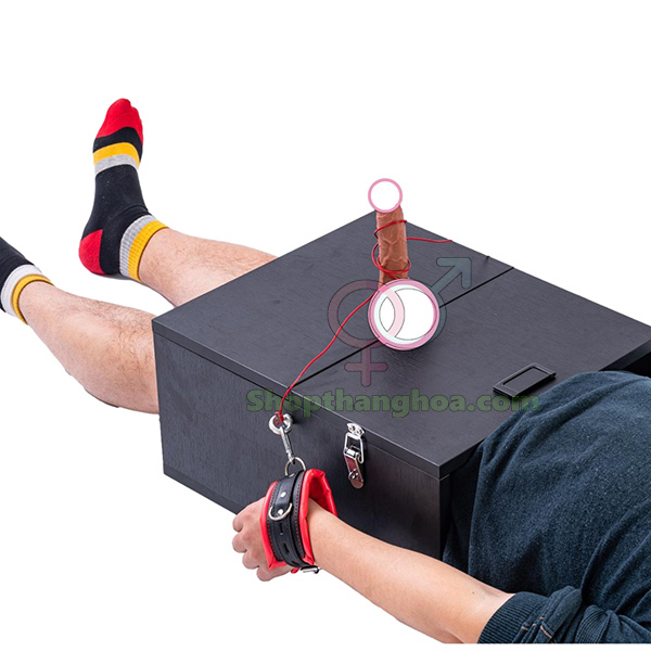 Hộp dụng cụ tra tấn nam giới phong cách nữ hoàng