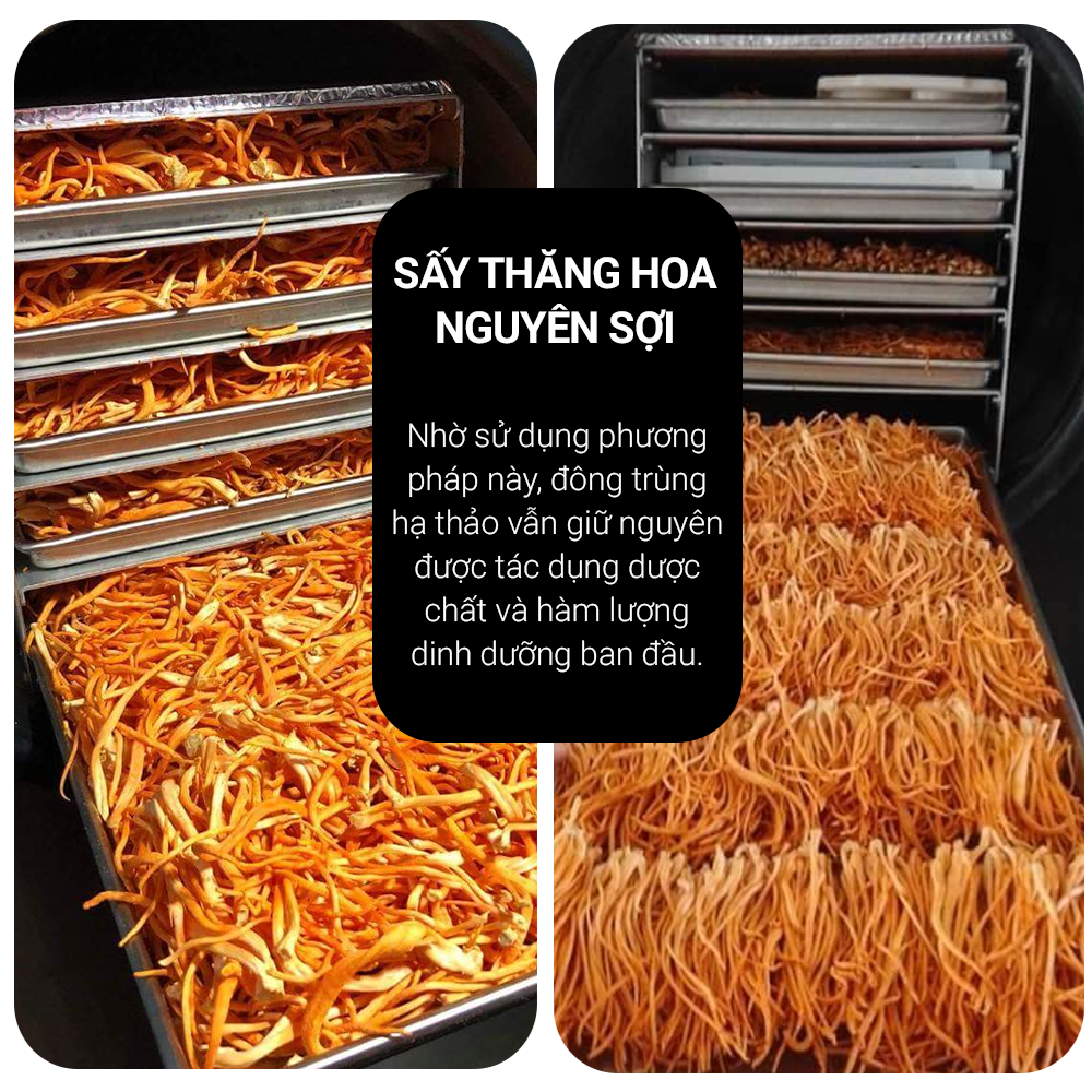  So sánh Đông trùng hạ thảo Toro - Sấy thăng hoa nguyên sợi cải thiện chức năng sinh lý - Hũ 10g có tốt không?