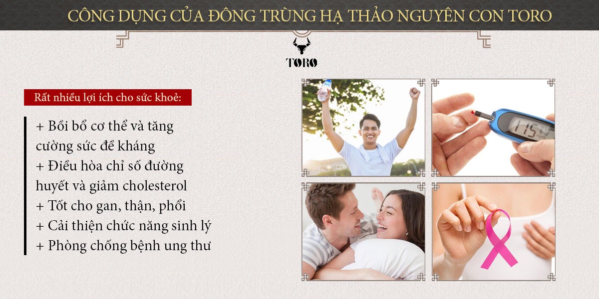  Giá sỉ Đông trùng hạ thảo cao cấp nguyên con - Tăng cường sinh lý bồi bổ cơ thể - 5g loại tốt