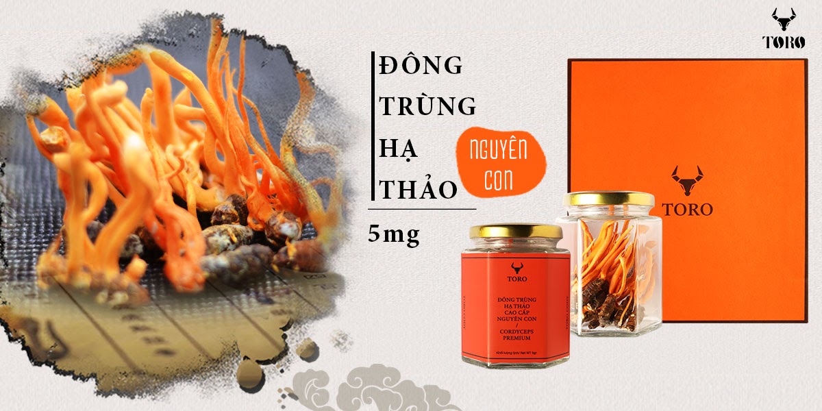  Giá sỉ Đông trùng hạ thảo cao cấp nguyên con - Tăng cường sinh lý bồi bổ cơ thể - 5g loại tốt