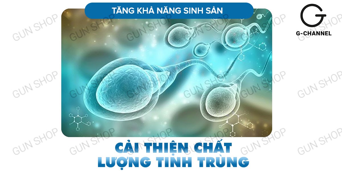  Thông tin Viên uống hỗ trợ cương dương tăng cường sinh lý Maxman - Hộp 10 viên có tốt không?